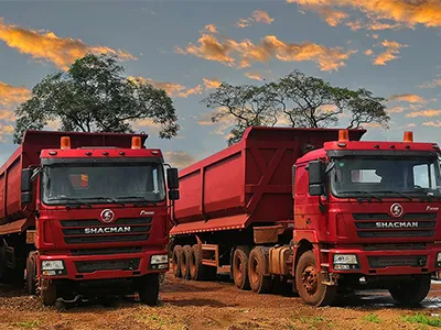 Tarpaulin Rolls